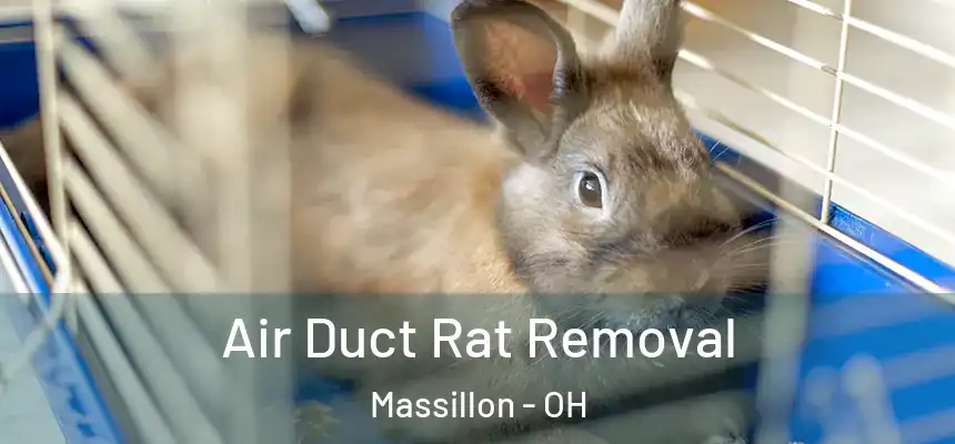  Air Duct Rat Removal Massillon - OH