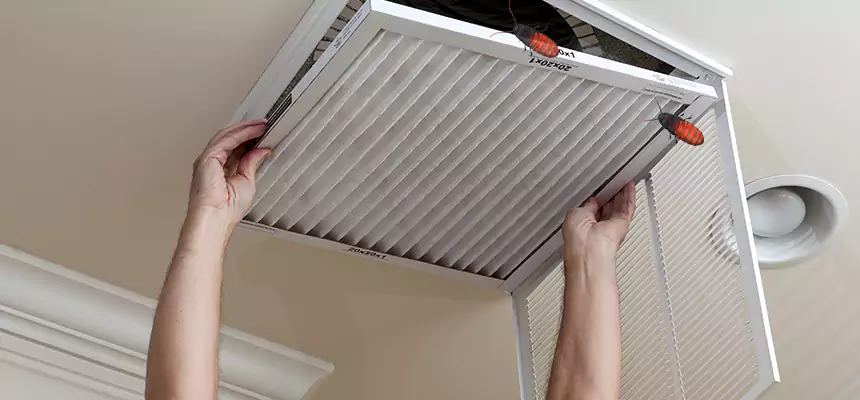 Preventive Cockroach-Proofing for Ducts in Massillon