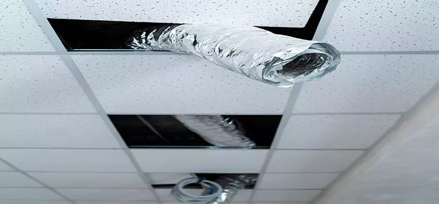 Our Air Duct Pet Hair Removal Services in Massillon, OH