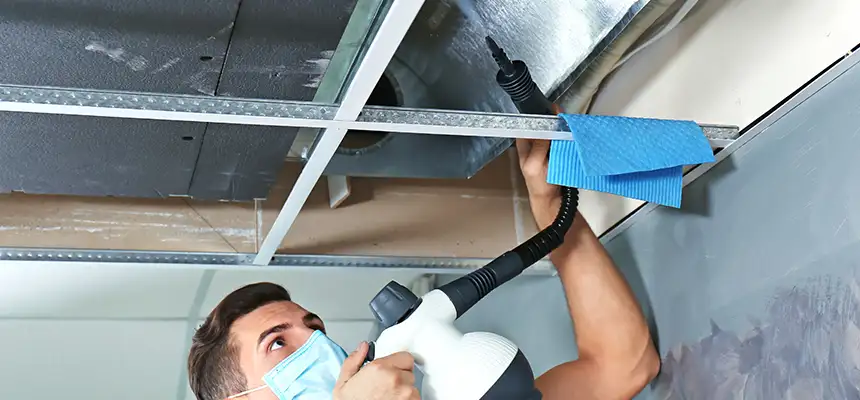 Our Air Duct Rodent Removal Services in Massillon, OH