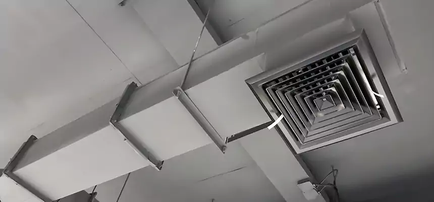 Our Rodent Droppings In Vents Services in Massillon, OH