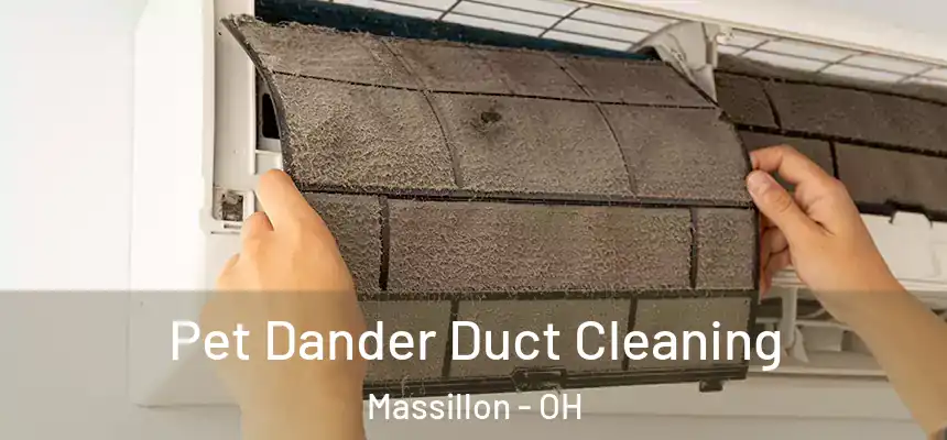  Pet Dander Duct Cleaning Massillon - OH