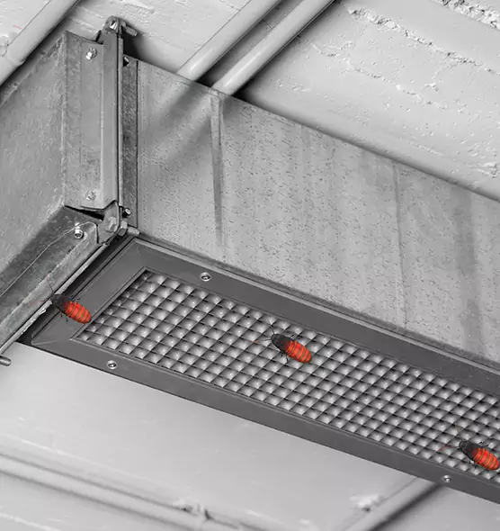 About Air Duct Cockroach Removal in Massillon, OH
