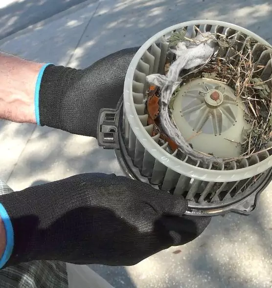 About Air Duct Rat Removal in Massillon, OH