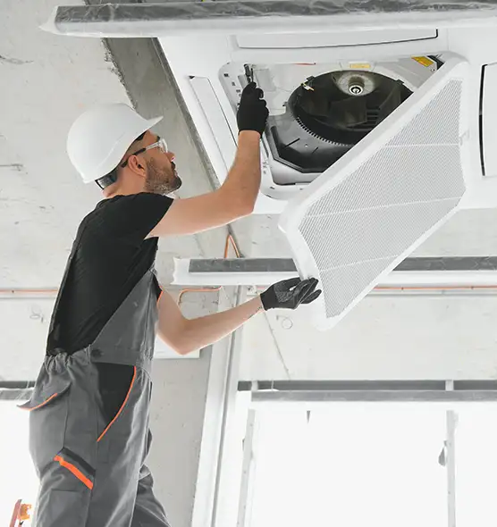 About Air Duct Rodent Removal in Massillon, OH